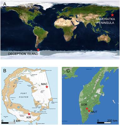 Microbial Communities in Volcanic Glacier Ecosystems